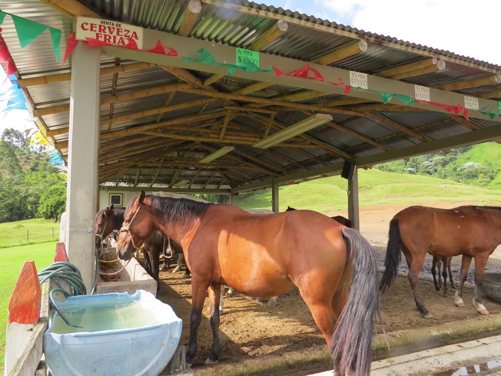 Finca Recreacional Marcelandia Santa Rosa de Cabal Buitenkant foto